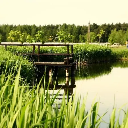 ホテル Stara Stajnia 3*