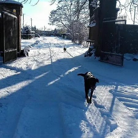 Stara Stajnia 3*