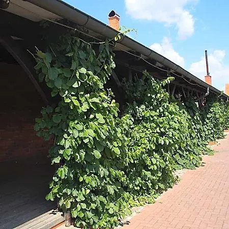 Stara Stajnia 3* Pleszew