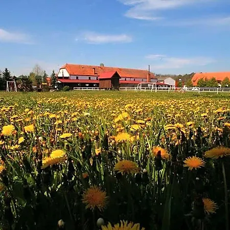 Stara Stajnia Hotel