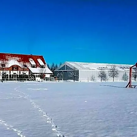 Stara Stajnia