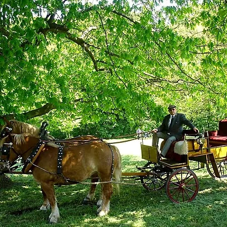 Hotel Stara Stajnia 3*