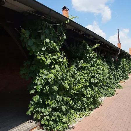 Hotel Stara Stajnia Pleszew