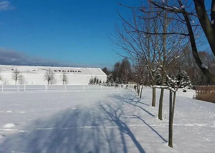 Stara Stajnia ホテル Pleszew